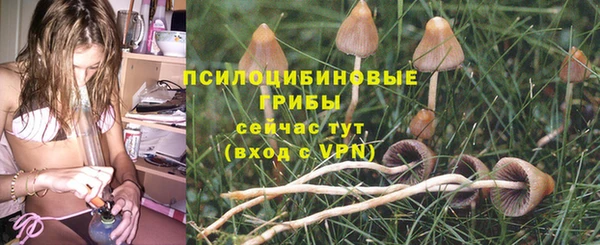 таблы Вяземский