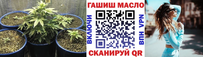 darknet как зайти  Нефтеюганск  Дистиллят ТГК гашишное масло  omg  