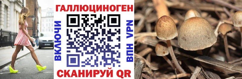 Галлюциногенные грибы MAGIC MUSHROOMS  МЕГА ССЫЛКА  Нефтеюганск 