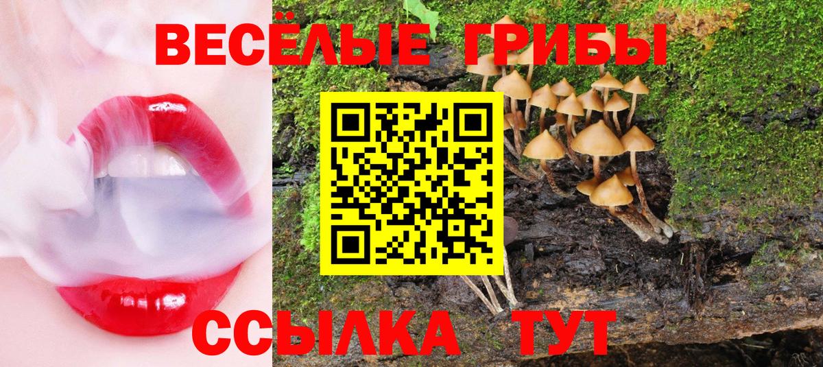 Галлюциногенные грибы Magic Shrooms Нефтеюганск
